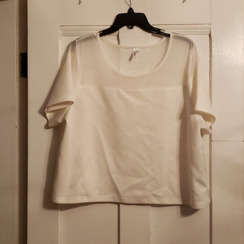 White Crop Top